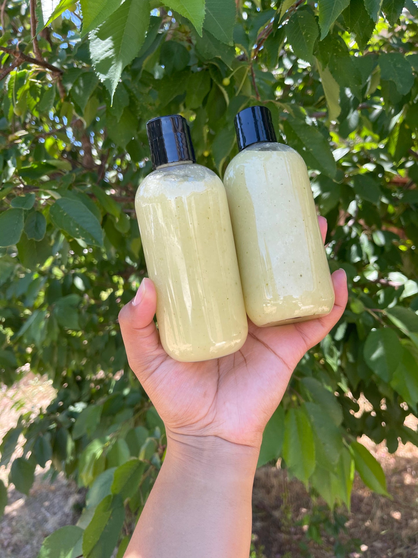 Moringa wash